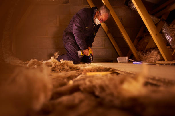 Best Professional Insulation Contractor  in Thermalito, CA