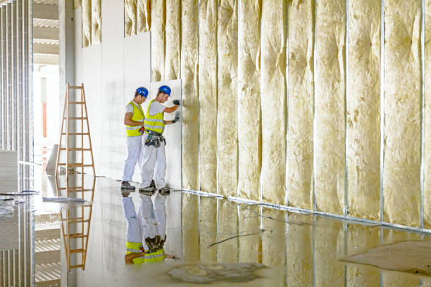 Best Energy-efficient Insulation  in Thermalito, CA